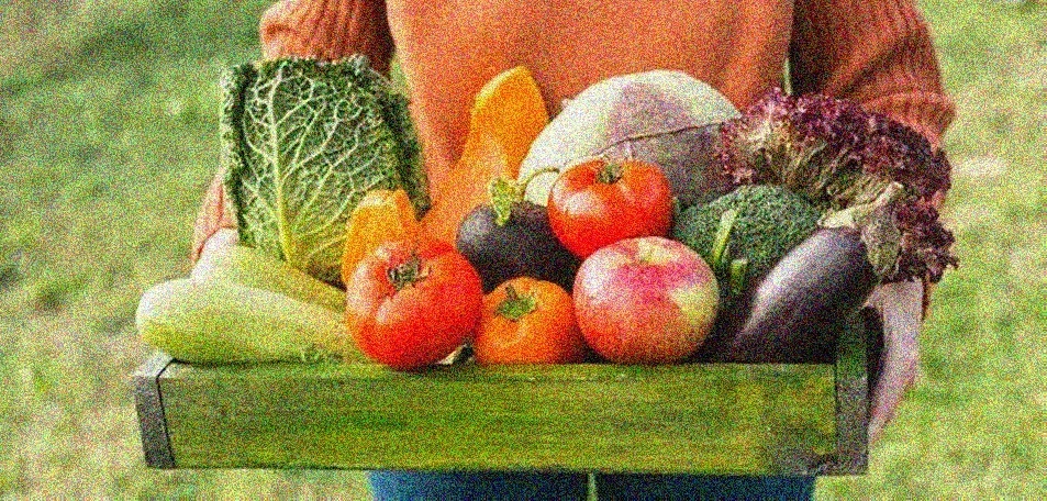 organic vegetables preparation