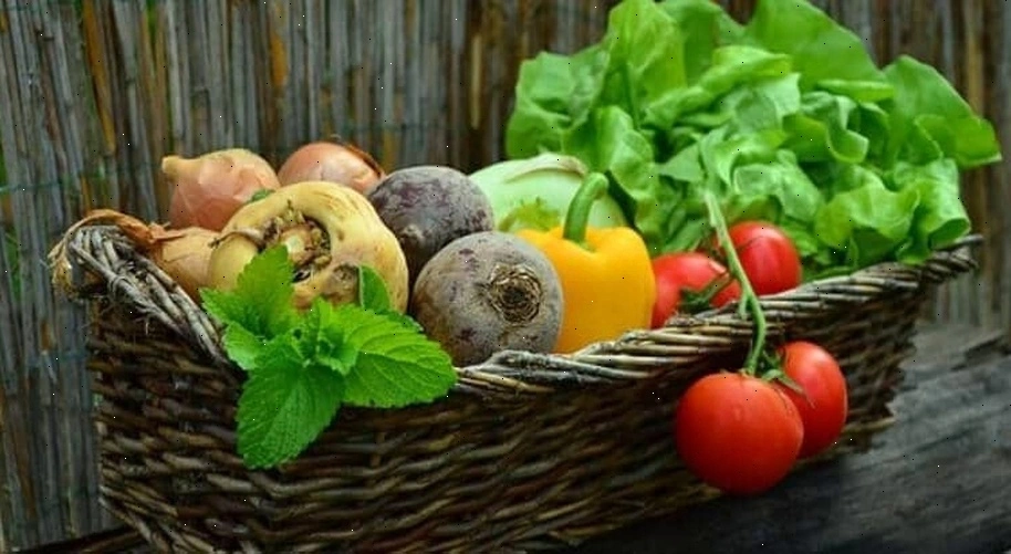 seasonal vegetable harvest